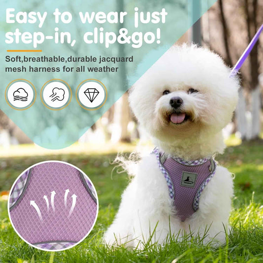 Reflective Harness and Leash Set for Small Dogs & Cats