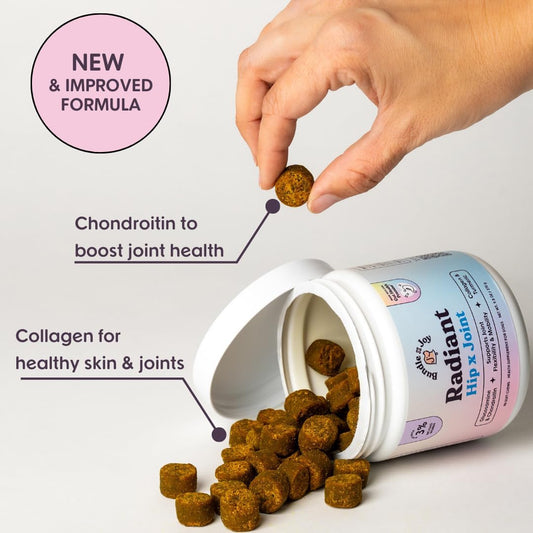 Dog Hip & Joint Chews with Glucosamine – Featured 90 Count