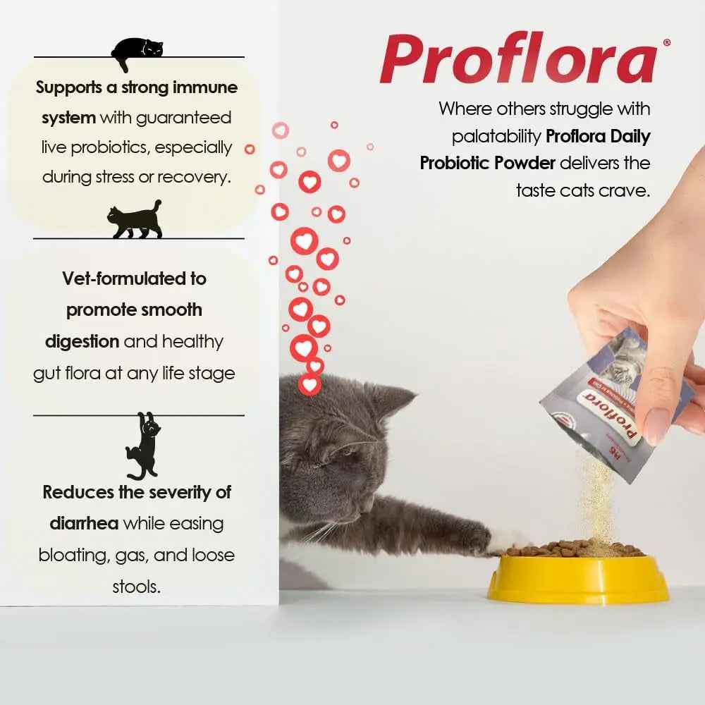 Cat Probiotics Digestive Gut Health Immune Support Powder 30 Packets