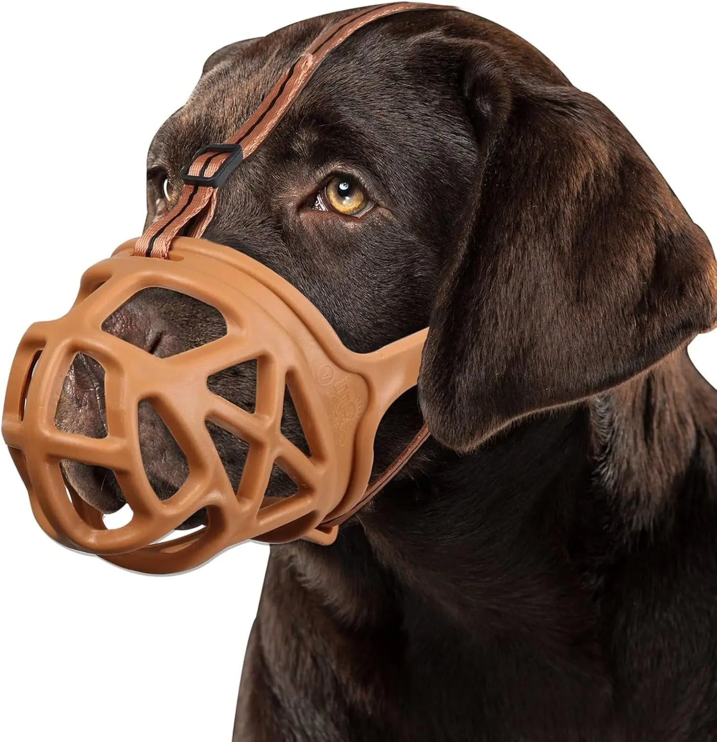 Dog Basket Muzzle Adjustable Humane Anti-Bite Training Muzzle for Dogs Brown S