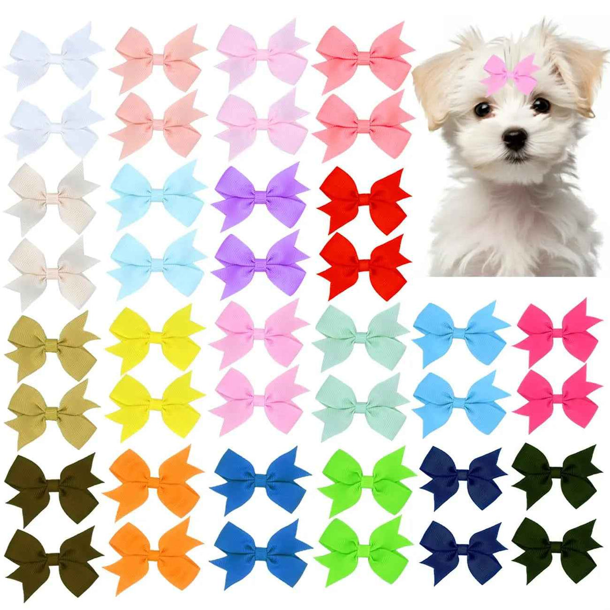 Dog Hair Bows Clips 40PCS Colorful Ribbon Accessories Small Dogs Grooming