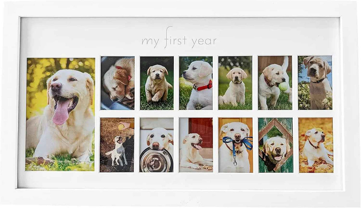 Green Pollywog Pet Memorial Shadowbox | Collar, Tag & Photo Keepsake