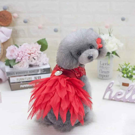 Sequin Bow Party Dress for Small Dogs Formal Dance Outfit All Sizes