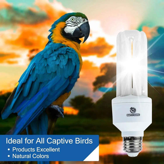 20W Full-Spectrum UVA UVB Bird Light Bulb – Compact Lamp