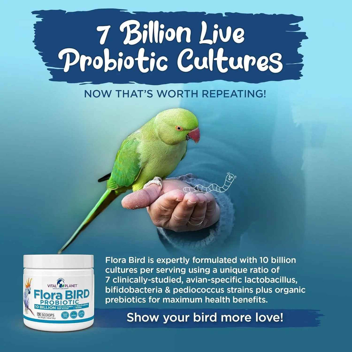 10 billion CFU bird probiotic powder with 7 strains for digestive support