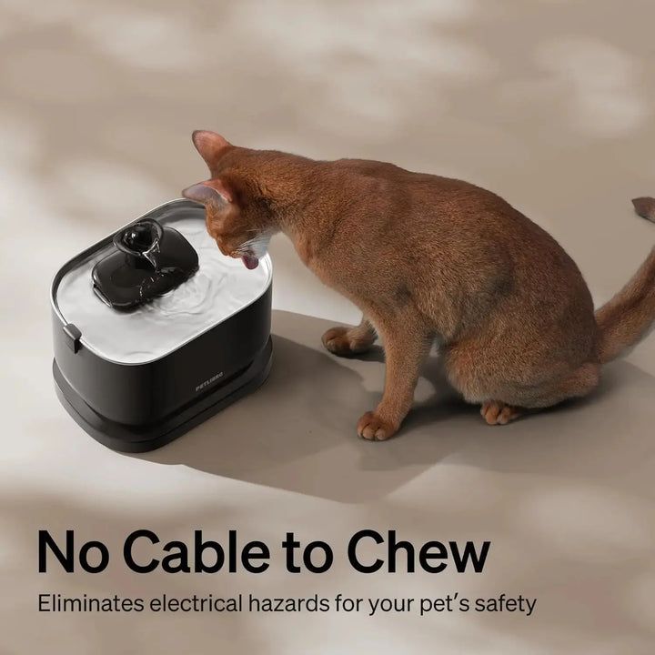Keep-Your-Cat-Hydrated-Happy-Why-the-Cordless-Cat-Water-Fountain-is-a-Game-Changer Visionary Insights