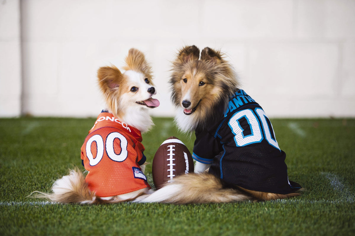 Two dogs in football jerseys with a football on grass, showcasing pet apparel and toys.