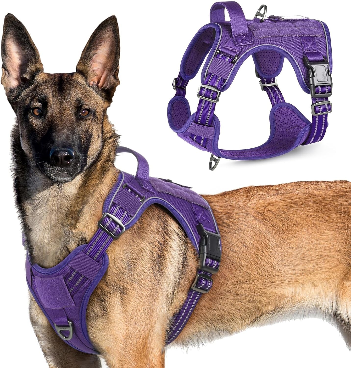 No Pull Tactical Dog Harness Molle Vest Adjustable Medium Large Dogs Purple X-Large