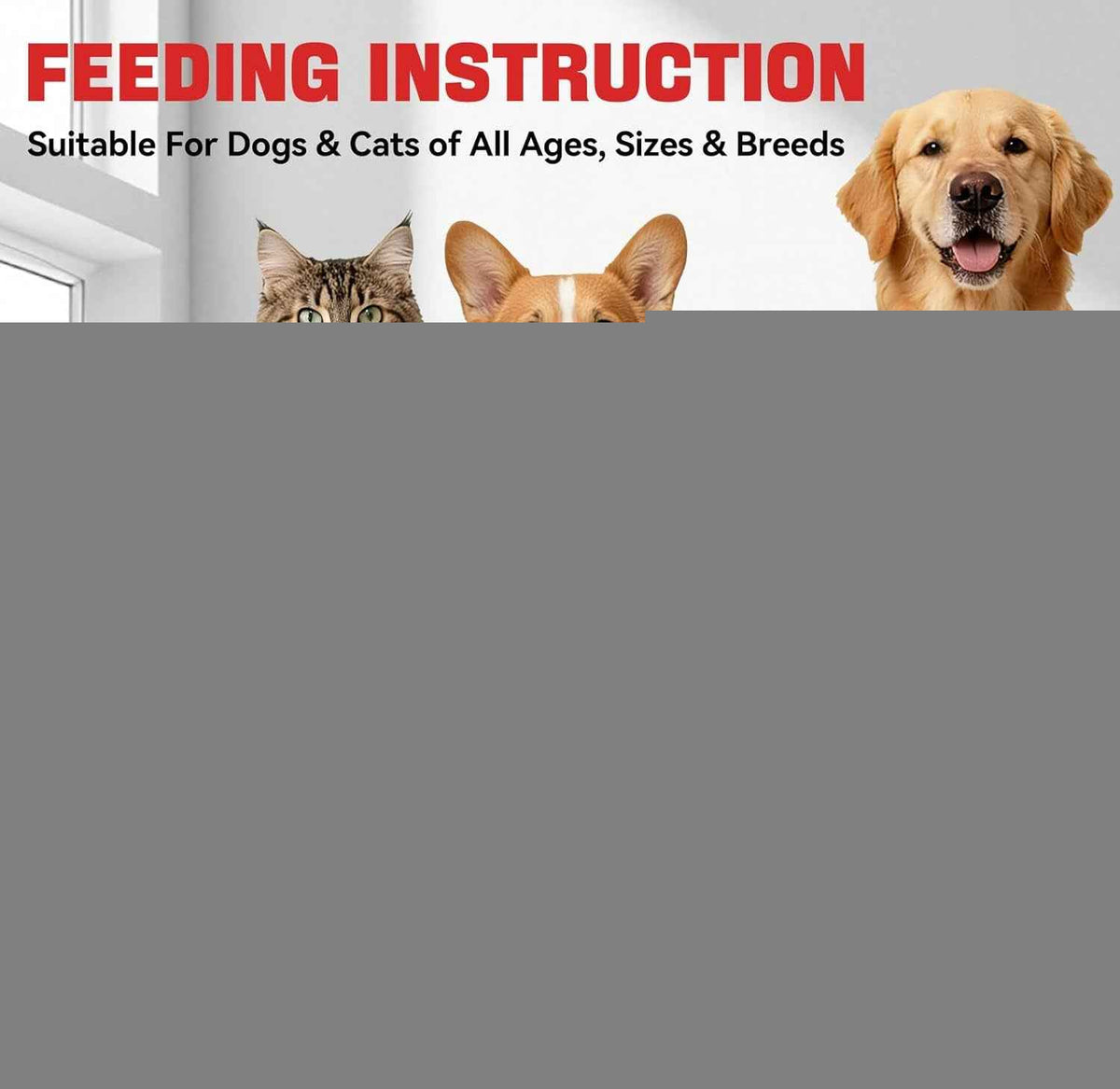 Activated Charcoal for Dogs Cats Pet Poisoning First Aid Detox 60ml
