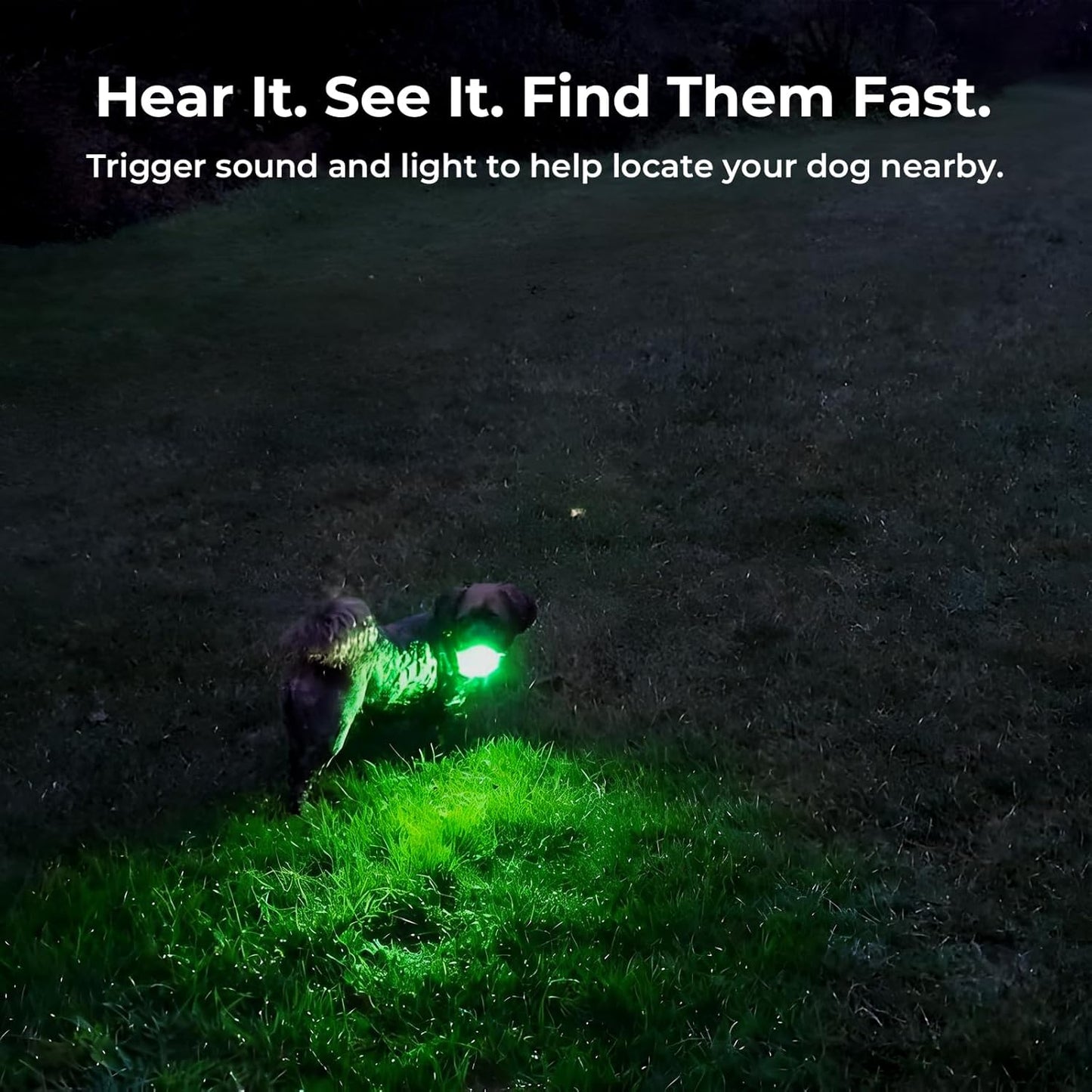 GPS Dog Tracker No Subscription Off Grid Large Dogs Waterproof 7 Day