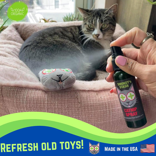 Catnip Spray & Organic Dried Catnip Bundle for Cats | USA Made Cat Training Set