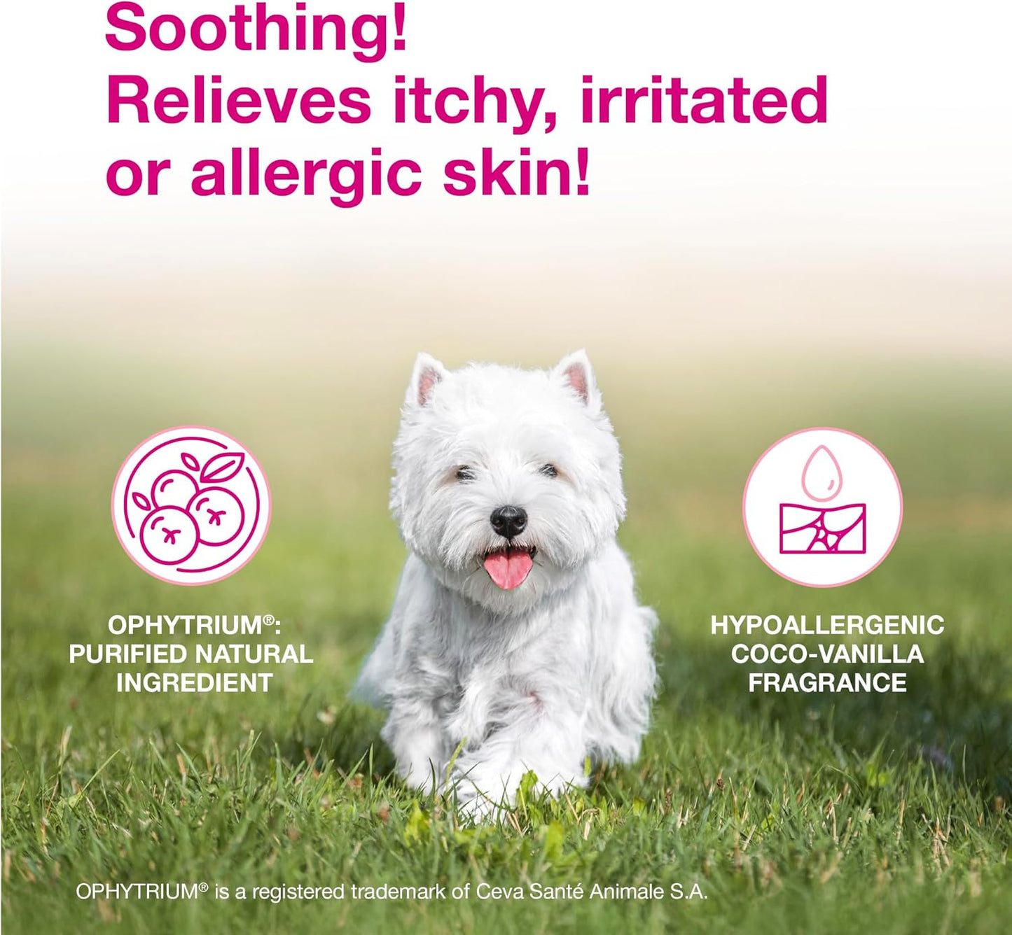 Calm Dog Shampoo & Itch Soothing Mousse Bundle for Dogs Cats