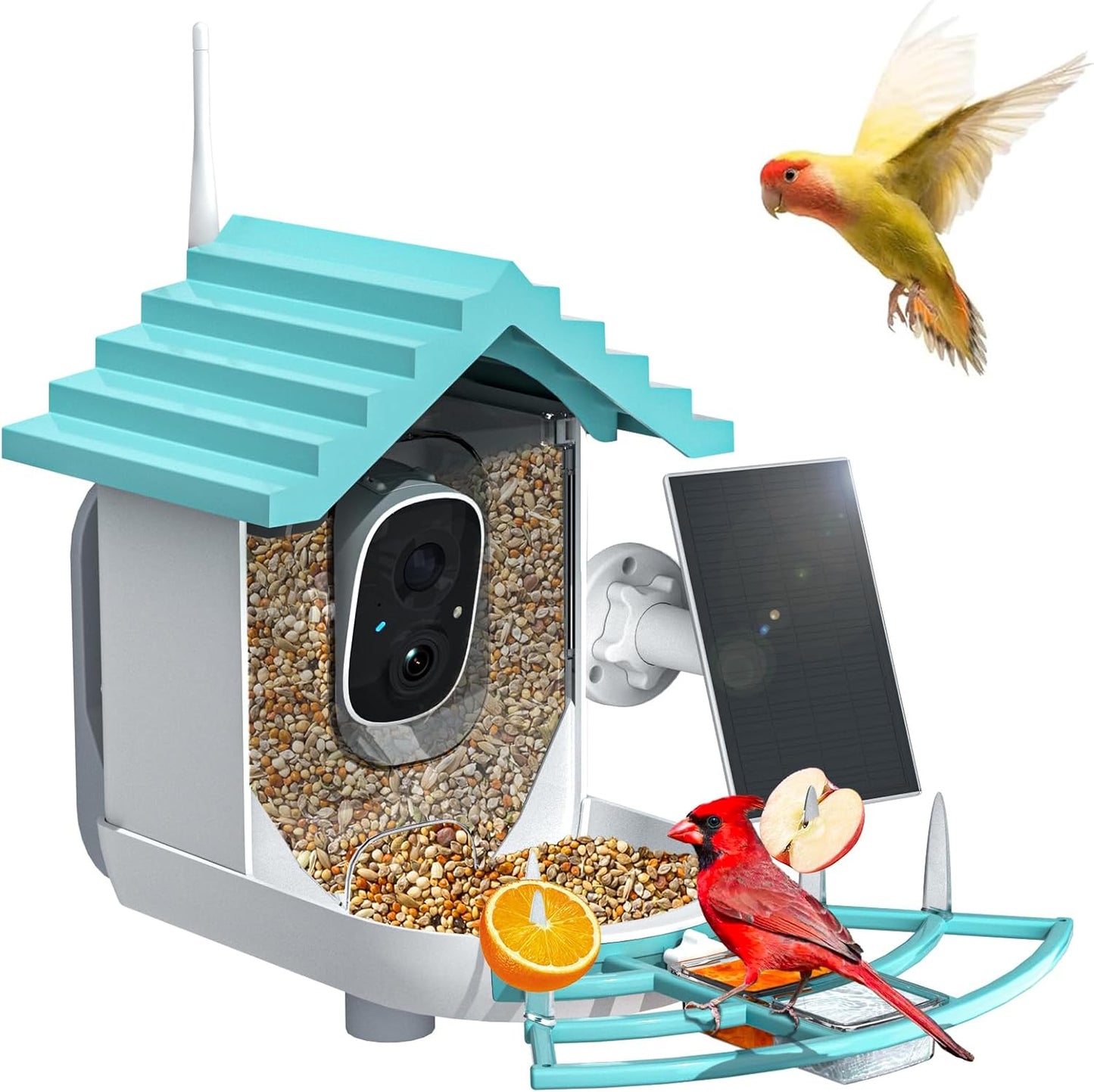 NAVFS Smart Bird Feeder Camera with Solar Panel, 2K Video & AI Bird ID