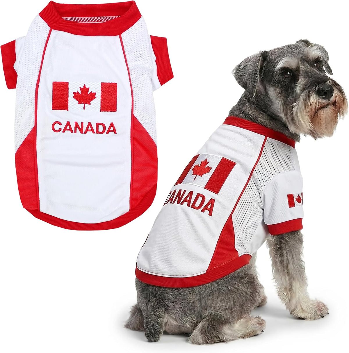 Parisian Pet Soccer Jersey for Dogs – Breathable Mesh Team Jersey, XS–5XL