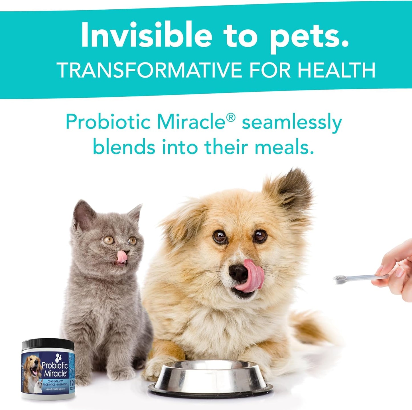 Dog Probiotics Powder 360 Scoops Digestive Enzyme Diarrhea Relief Immune