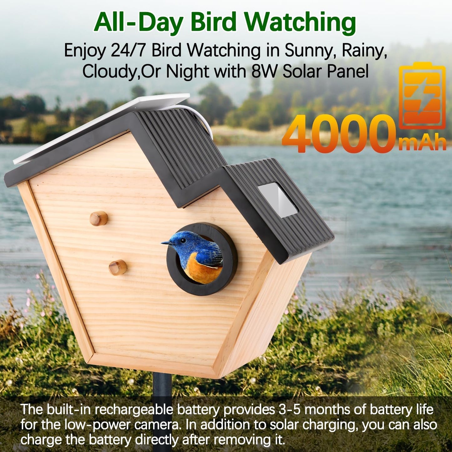 Bird House Camera Solar WiFi Smart Birdhouse HD Motion Detection 32GB