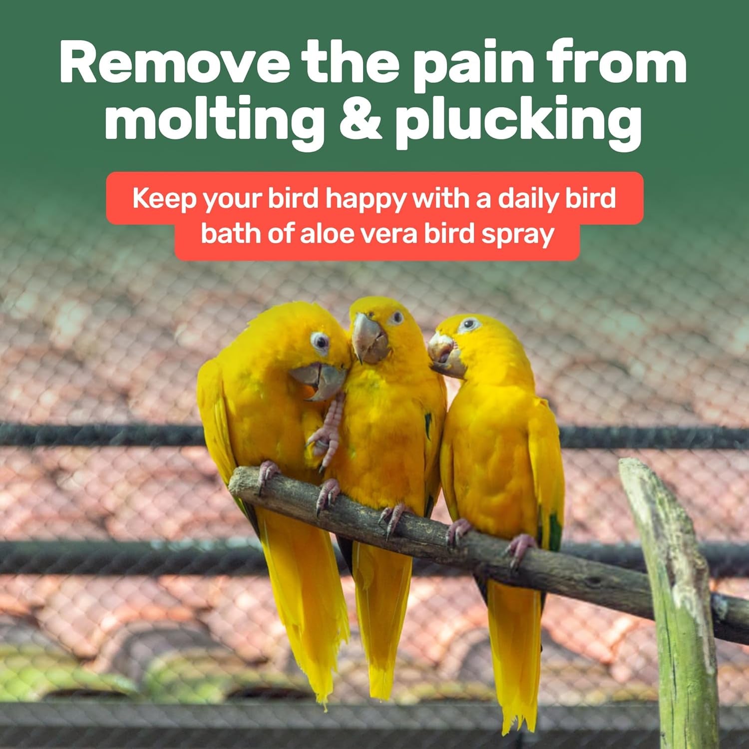 Aloe Vera Bird Spray Feather Skin Plumage Support 8.5oz USA Made