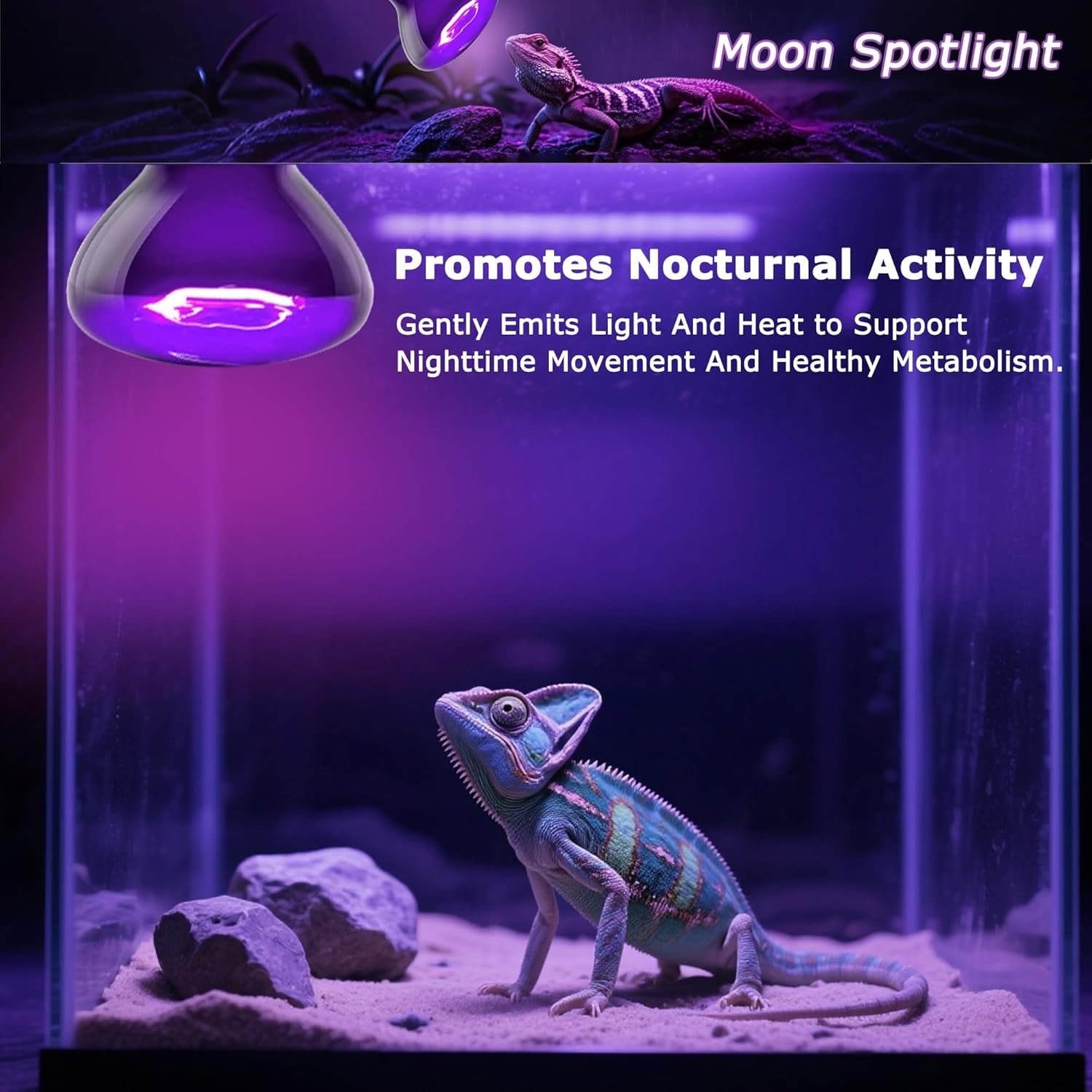 Reptile Night Heat Bulb 75W Purple UVA Basking Lamp E26 2 Pack