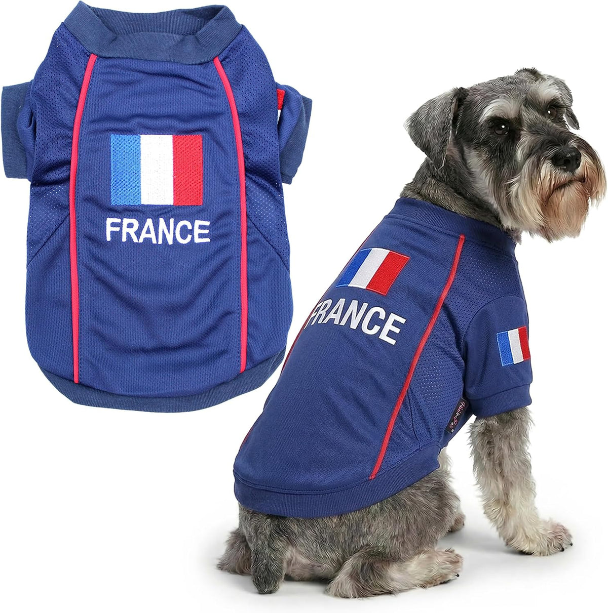 Parisian Pet Soccer Jersey for Dogs – Breathable Mesh Team Jersey, XS–5XL