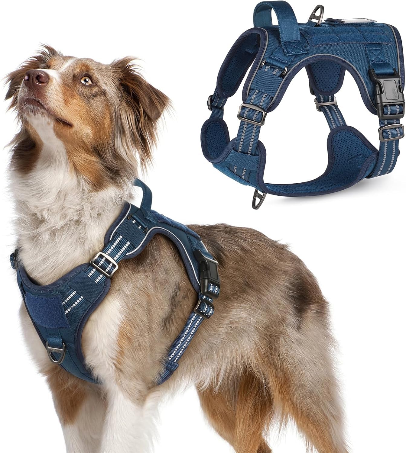 No Pull Tactical Dog Harness Molle Vest Adjustable Medium Large Dogs Blue Medium