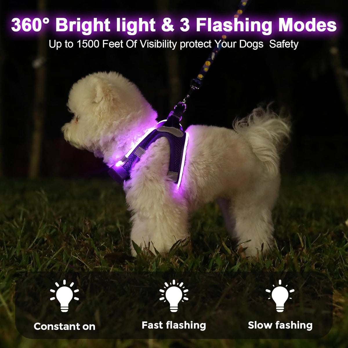 LED Light-Up Dog Harness – Rechargeable, XS–L, 6 Colors