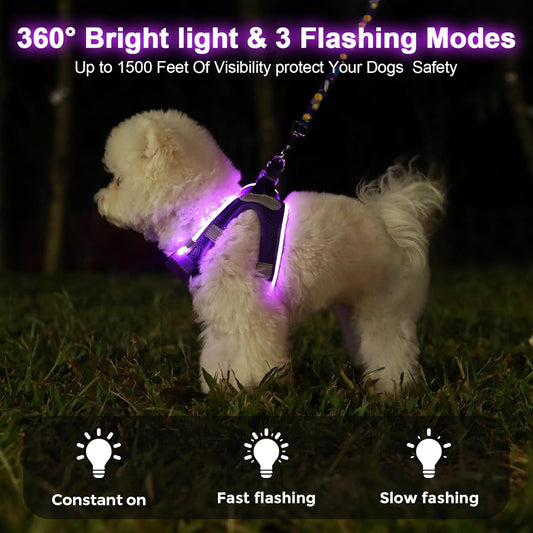 LED Light-Up Dog Harness – Rechargeable, XS–L, 6 Colors