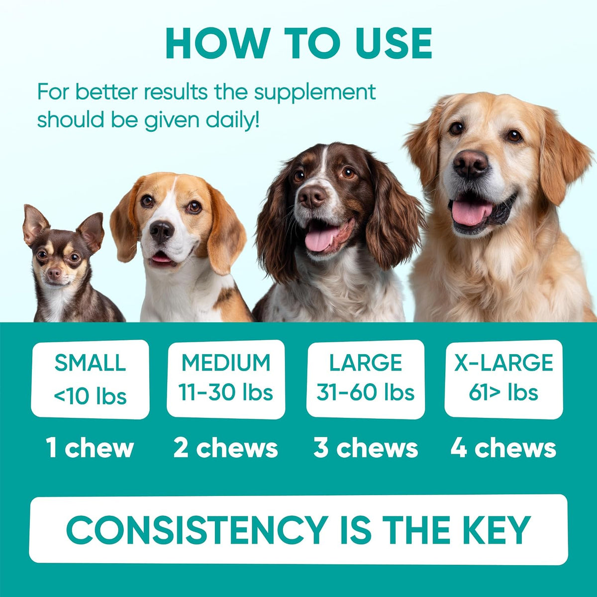 Pawzitive Pets Hemp Calming Chews for Dogs – 4 Options