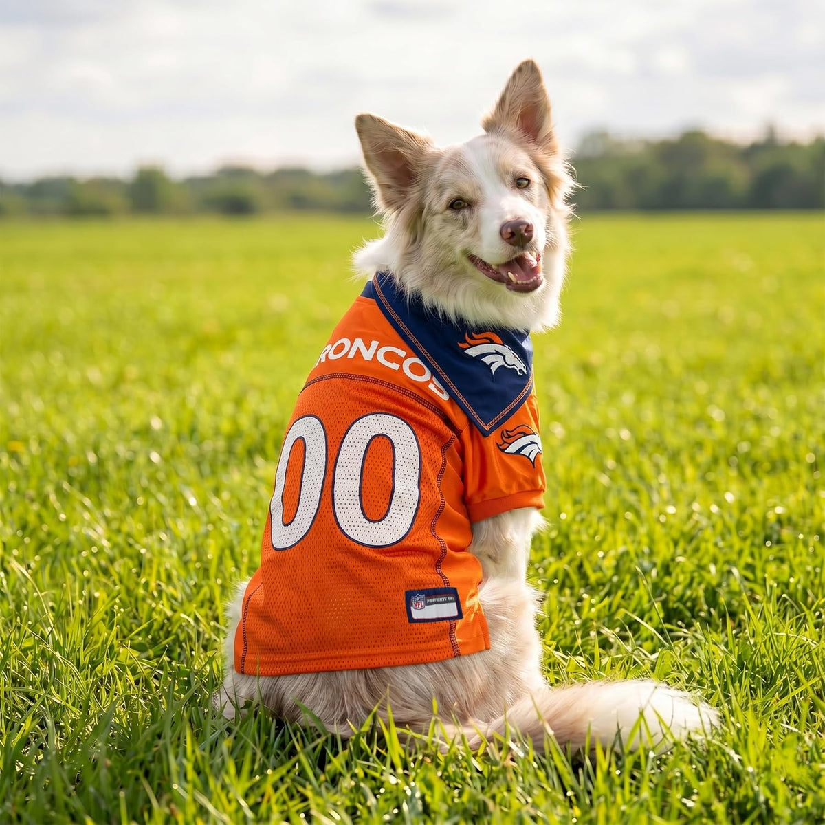 NFL Dog Jersey & Tie Bandana Set Official Pet Apparel All Teams