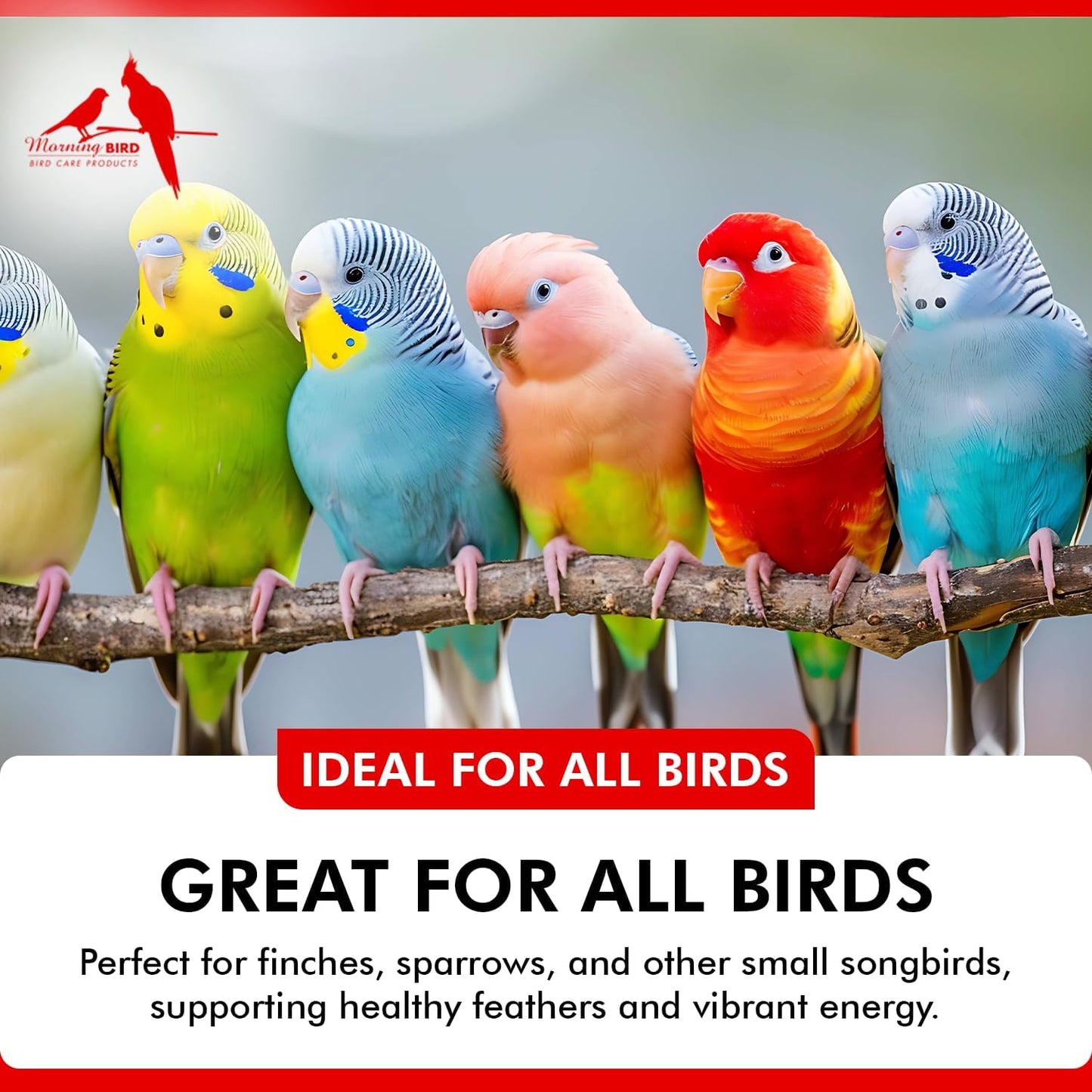 Liquid Iodine Supplement for Birds Feather Thyroid Support 4oz