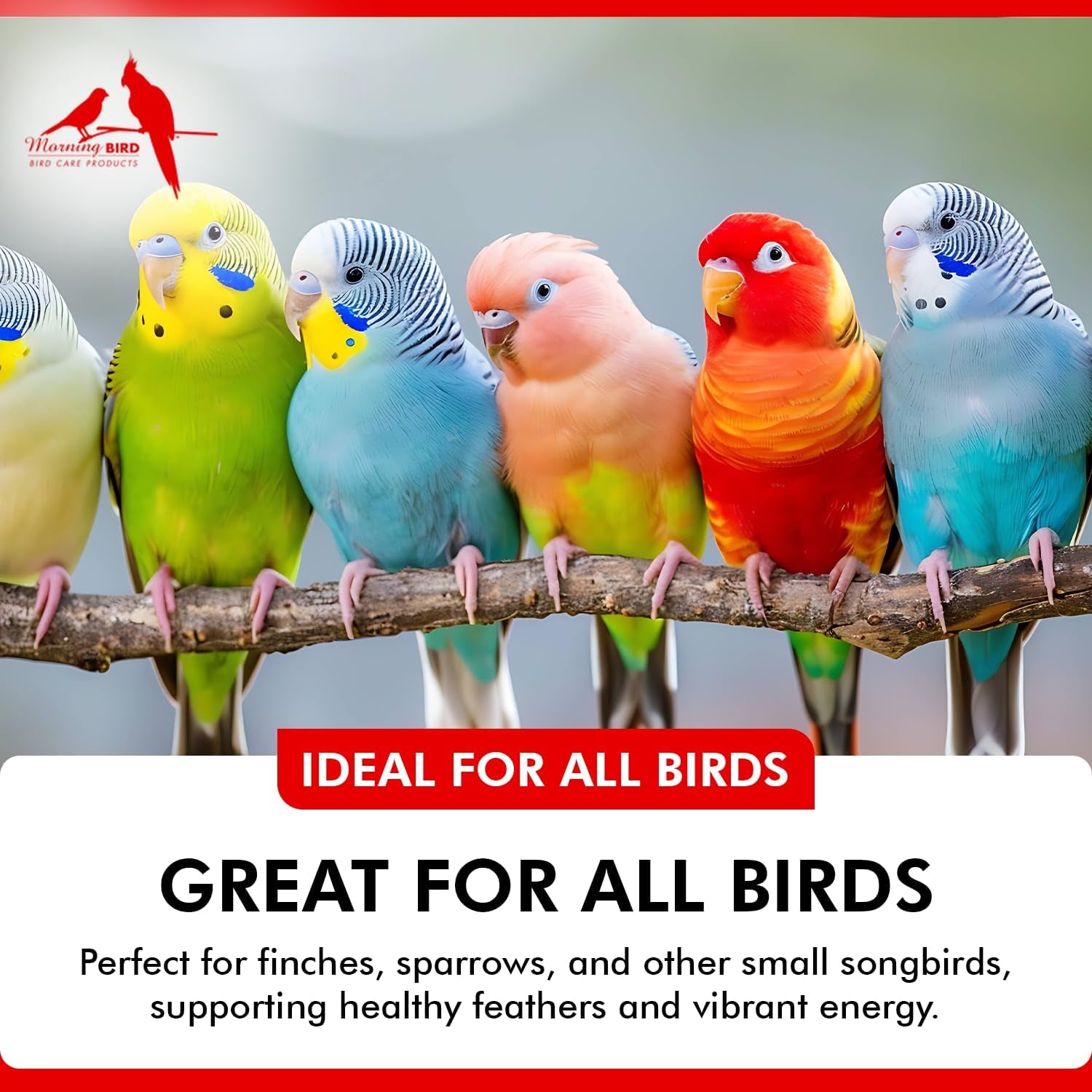 Liquid Iodine Supplement for Birds Feather Thyroid Support 4oz