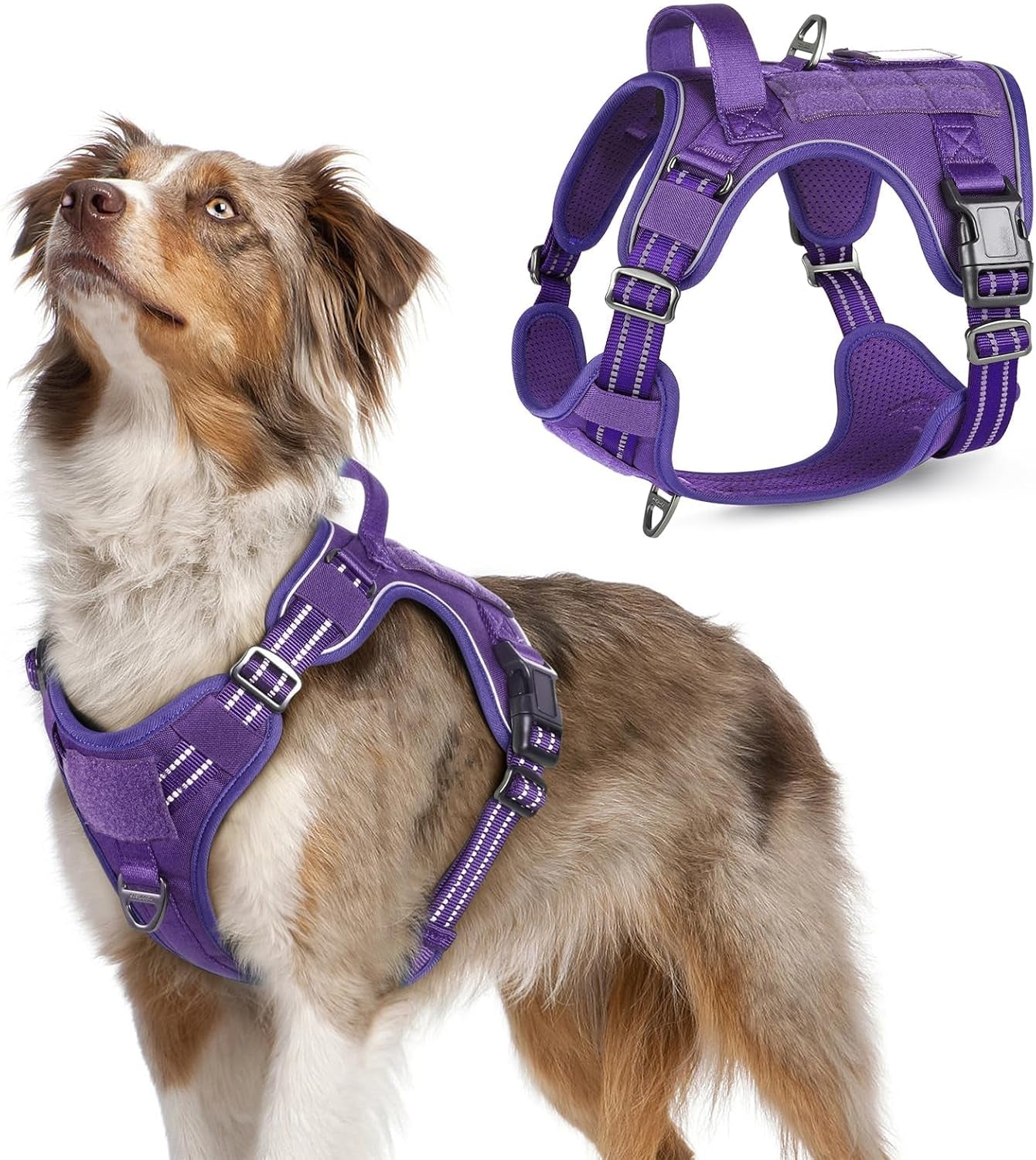 No Pull Tactical Dog Harness Molle Vest Adjustable Medium Large Dogs Purple Medium