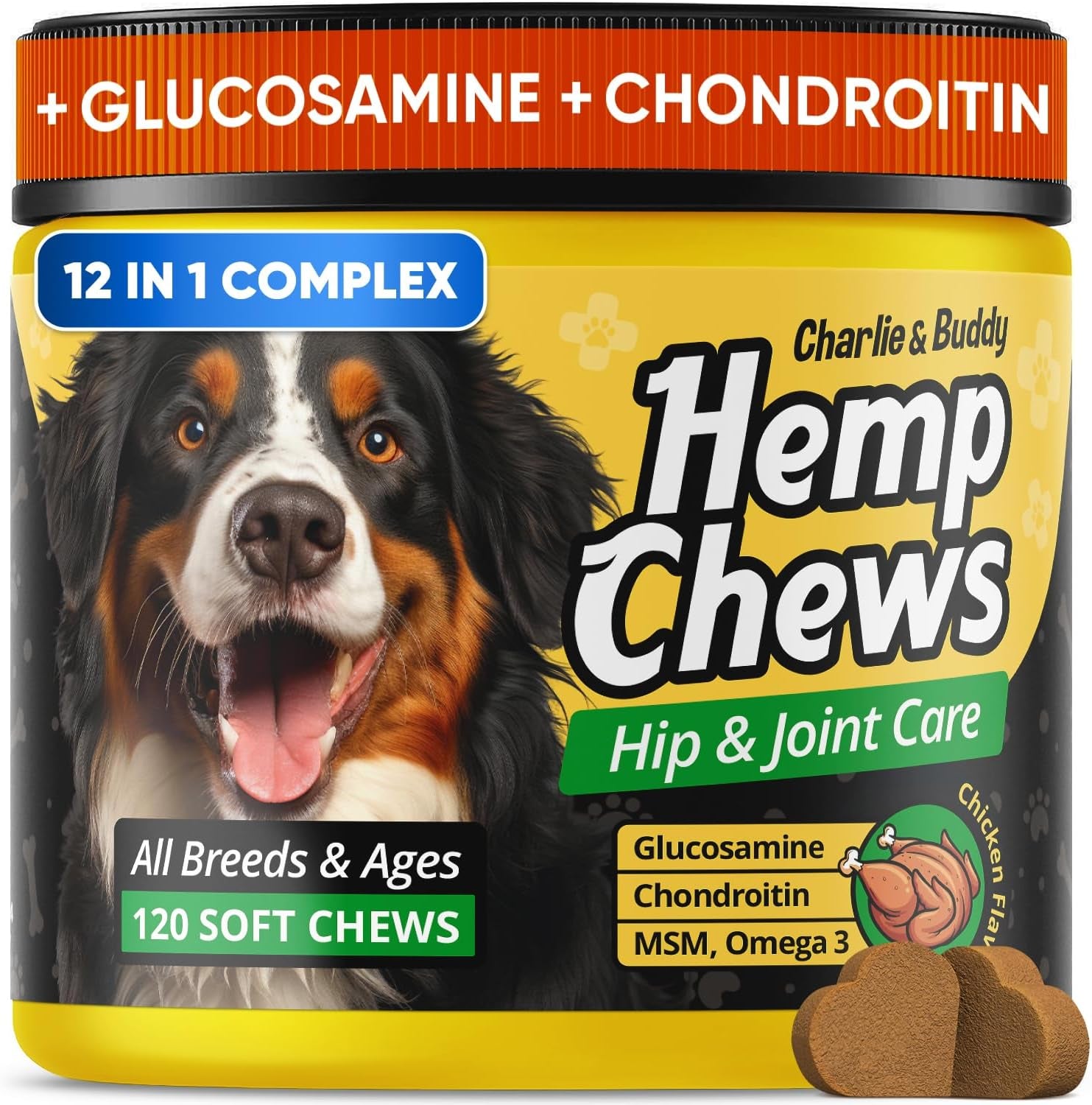 Dog Joint Supplement Glucosamine Chondroitin MSM Omega 3 Chews 120Ct 120 Soft Chews
