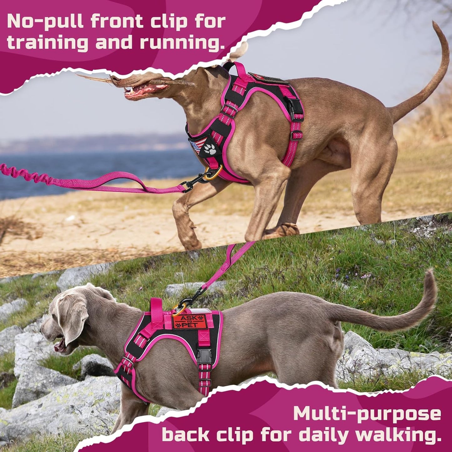 No Pull Tactical Dog Harness Molle Vest Adjustable Medium Large Dogs