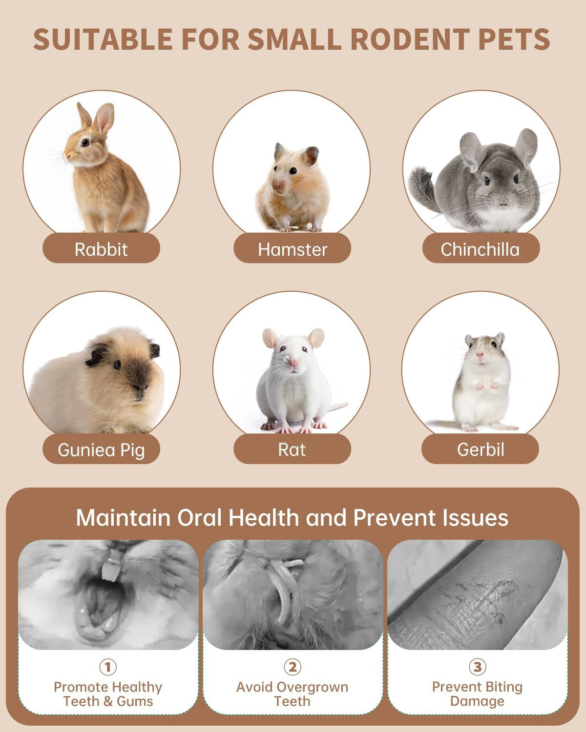31PCS Natural Rabbit Chew Toys Set for Small Pets Dental Care