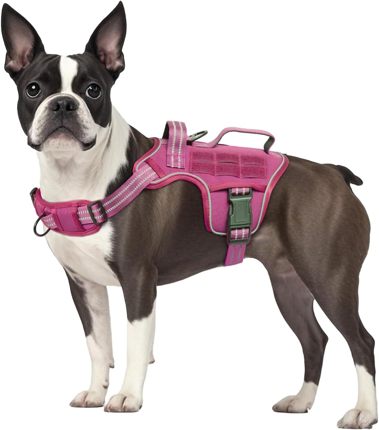 No Pull Tactical Dog Harness Heavy Duty Molle Vest for Medium to XLarge Dogs Pink S(Neck:16-22",Chest:20-28"),18-35 Lbs