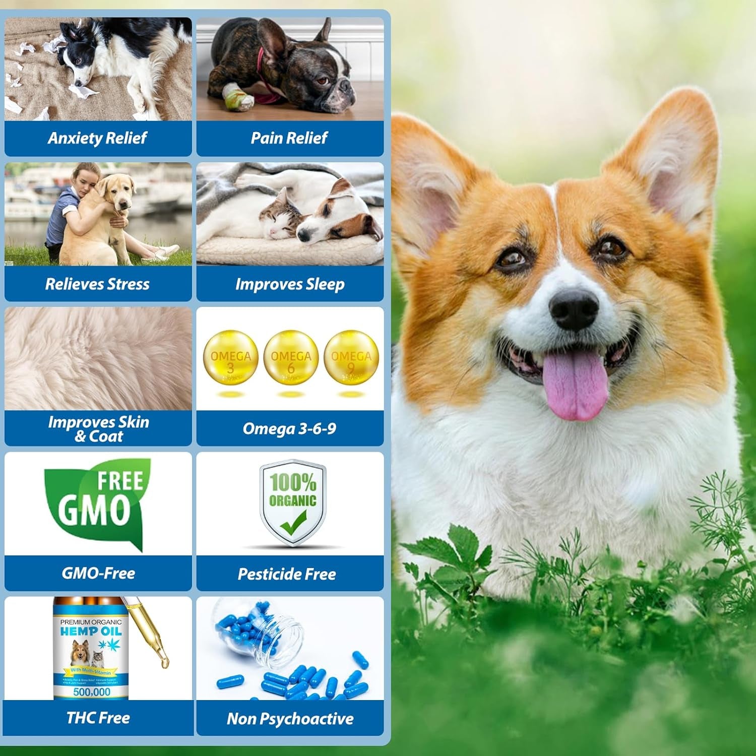 Hemp Oil for Dogs & Cats — Calming, Joint & Skin Support | 60ml Daily Supplement