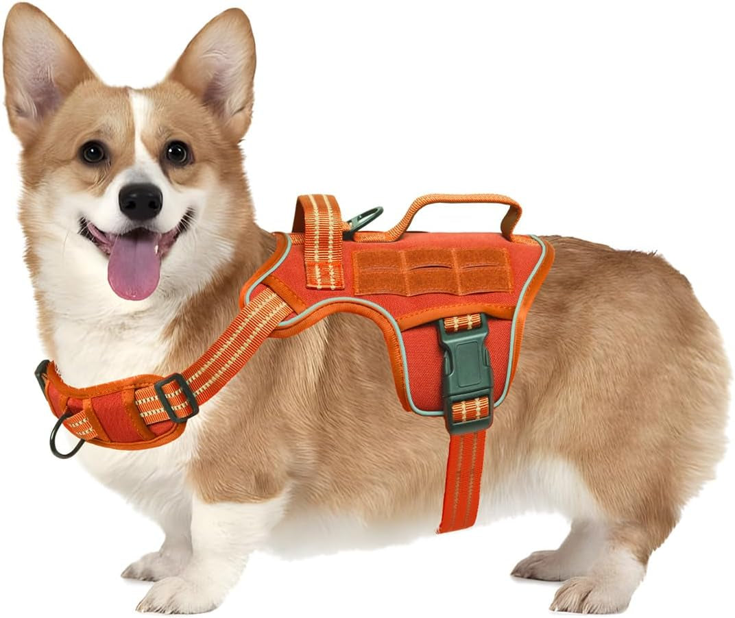 No Pull Tactical Dog Harness Heavy Duty Molle Vest for Medium to XLarge Dogs Orange S(Neck:16-22",Chest:20-28"),18-35 Lbs