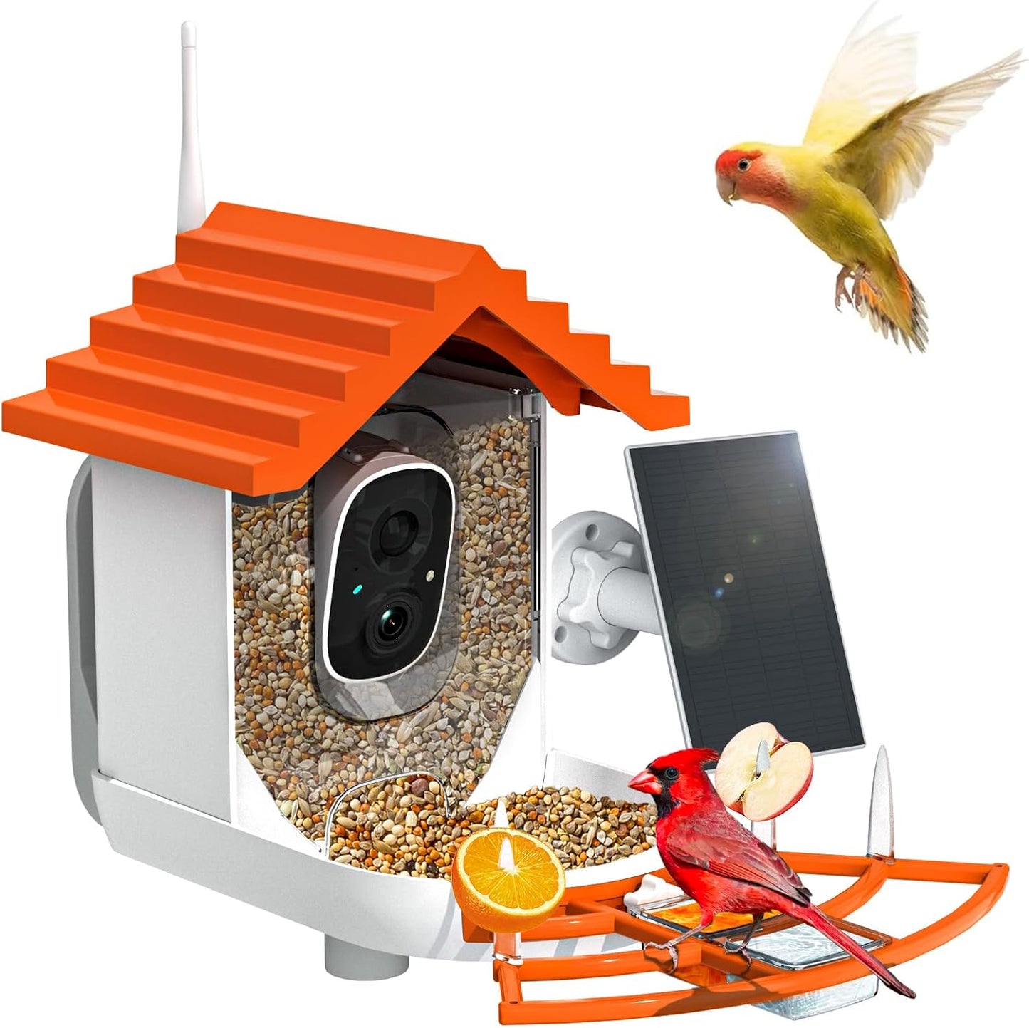 NAVFS Smart Bird Feeder Camera with Solar Panel, 2K Video & AI Bird ID