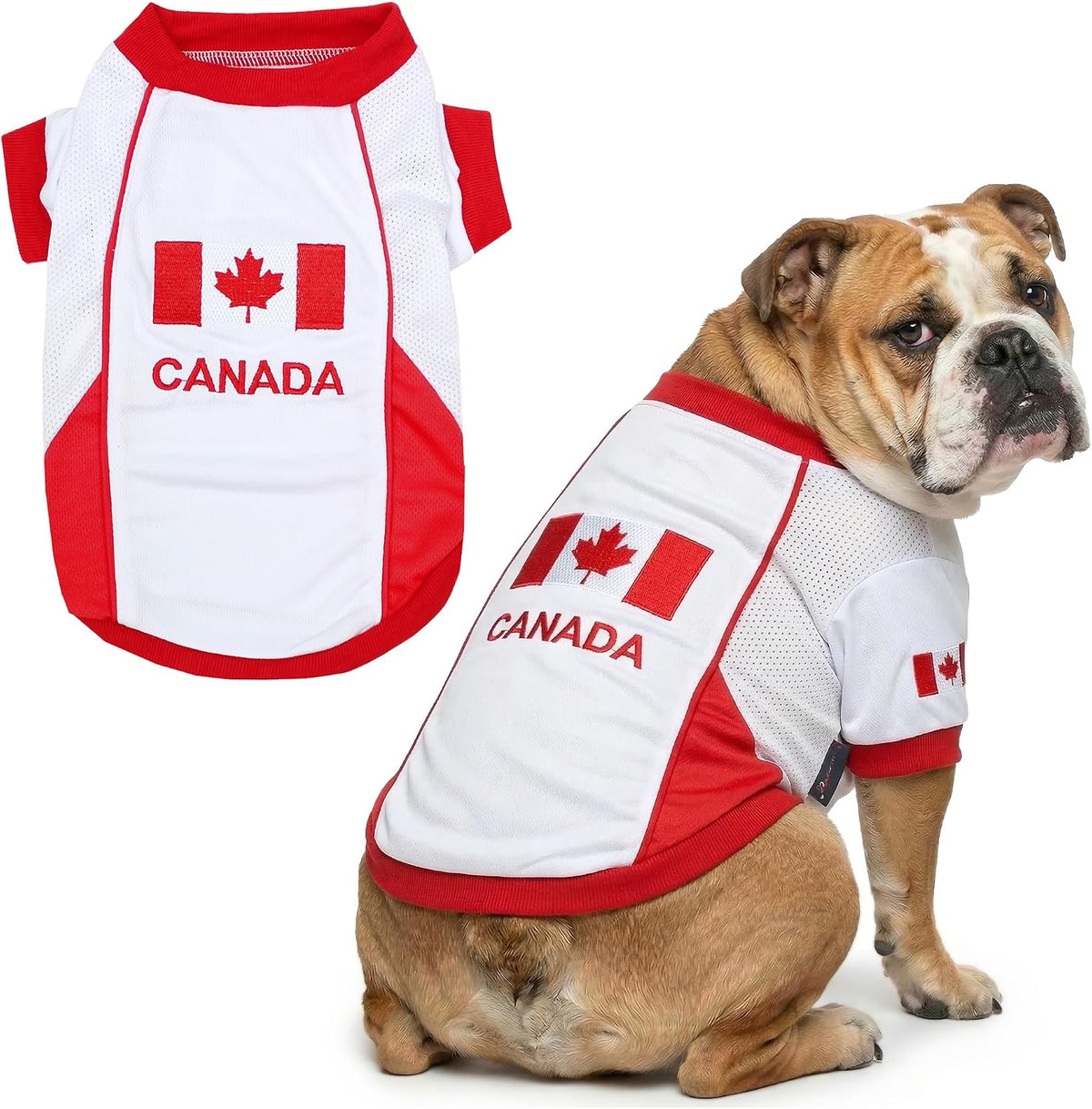 Parisian Pet Soccer Jersey for Dogs – Breathable Mesh Team Jersey, XS–5XL