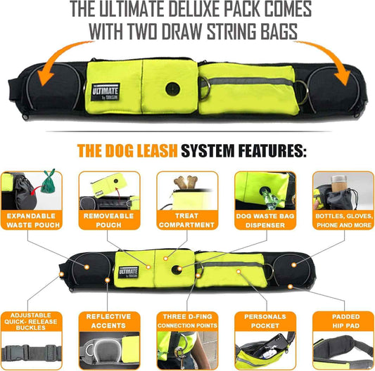 Two dog hands free running leash with reflective bungee design