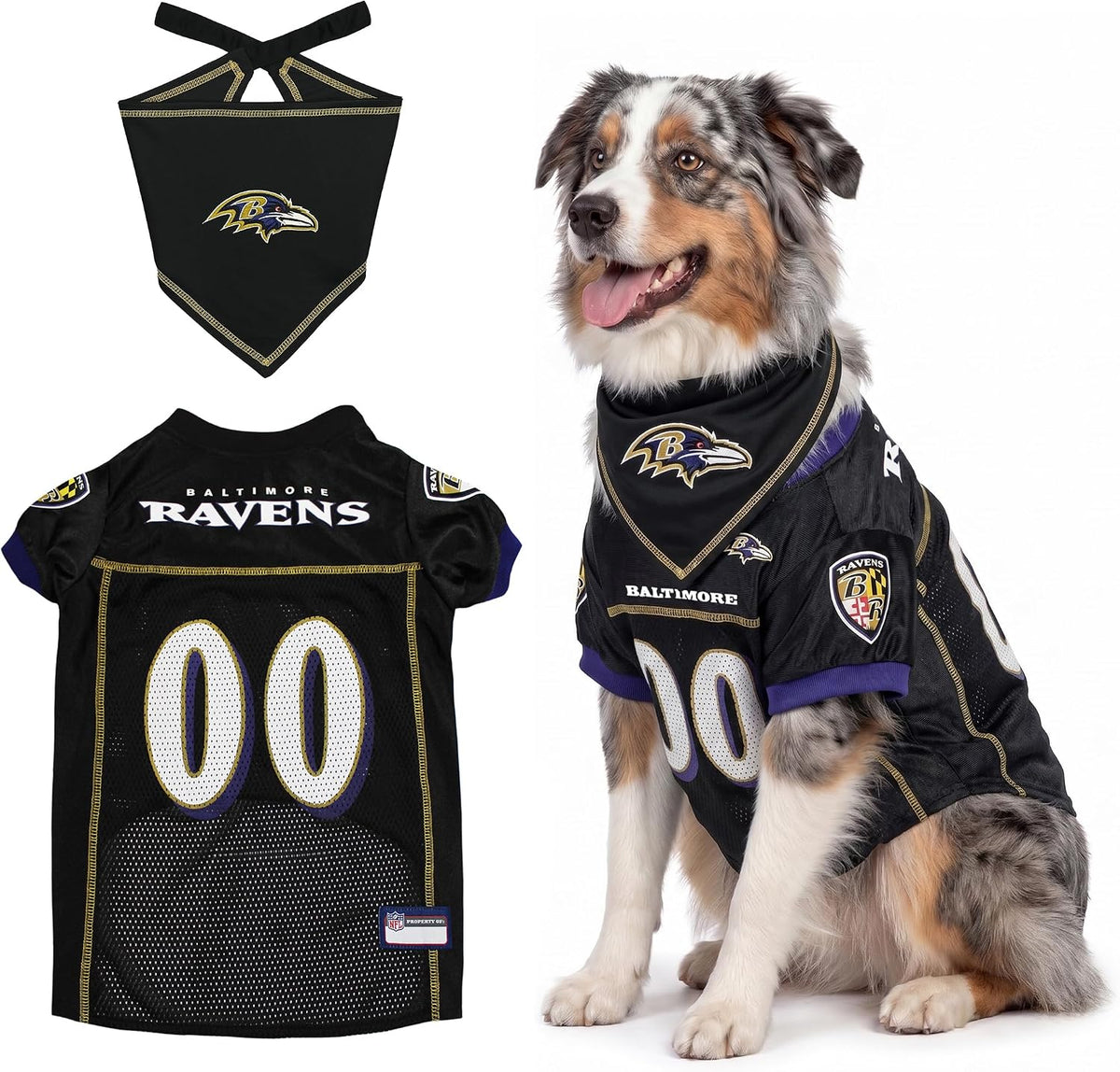 NFL Dog Jersey & Tie Bandana Set Official Pet Apparel All Teams