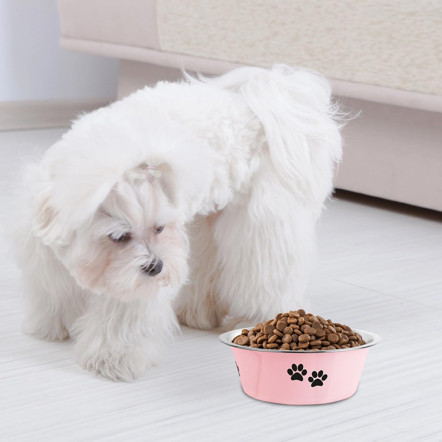 Stainless Steel Dog Bowls — Non-Slip, No-Spill Pet Food & Water Bowls | Set of 2