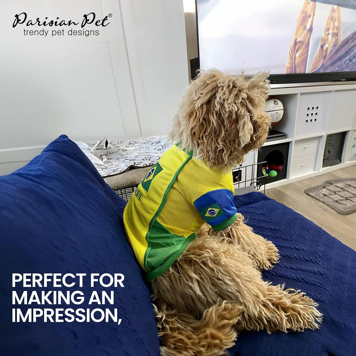 Parisian Pet Soccer Jersey for Dogs – Breathable Mesh Team Jersey, XS–5XL
