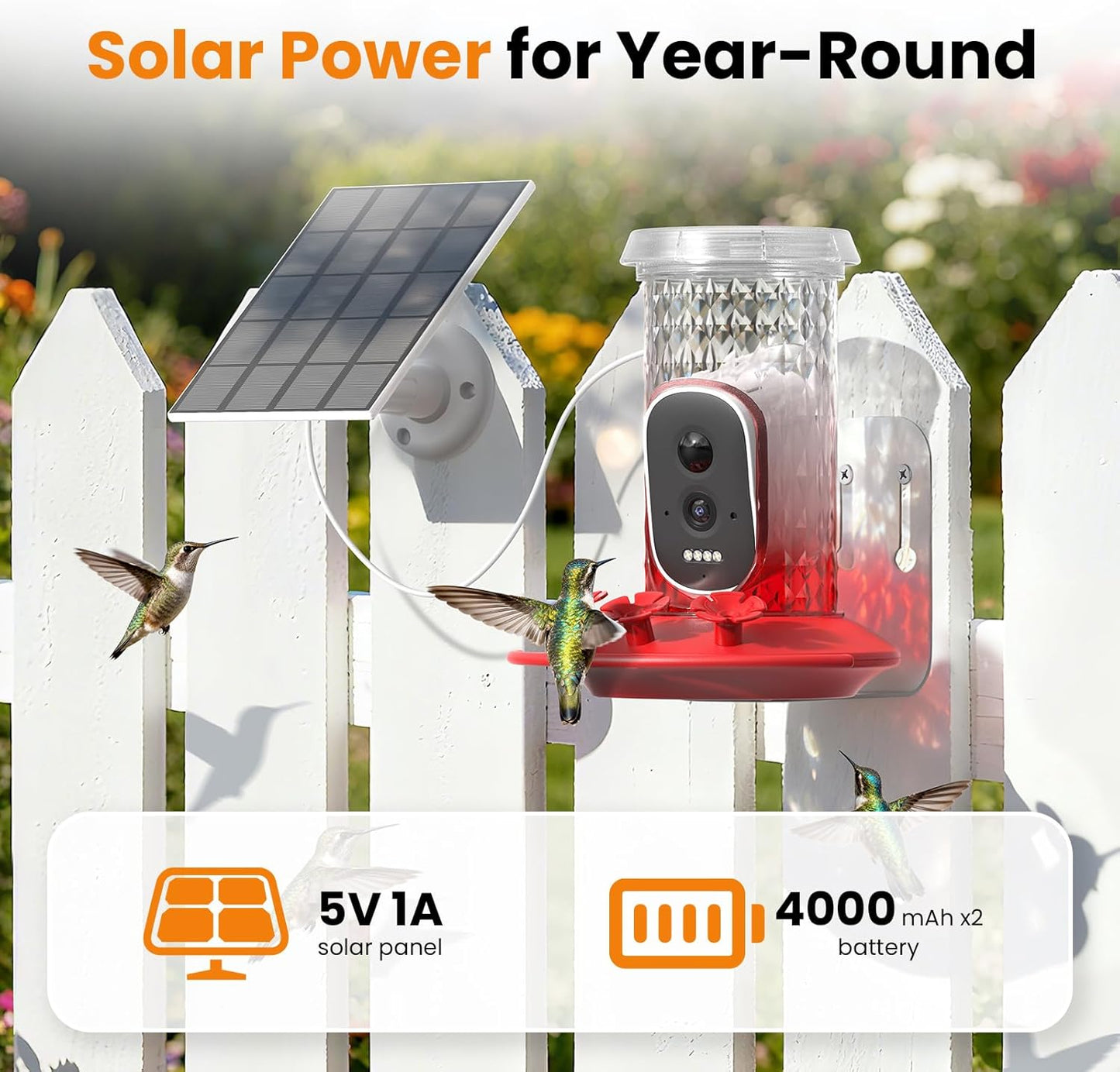 Hummingbird Feeder Camera Solar WiFi 2.5K HD AI Night Vision