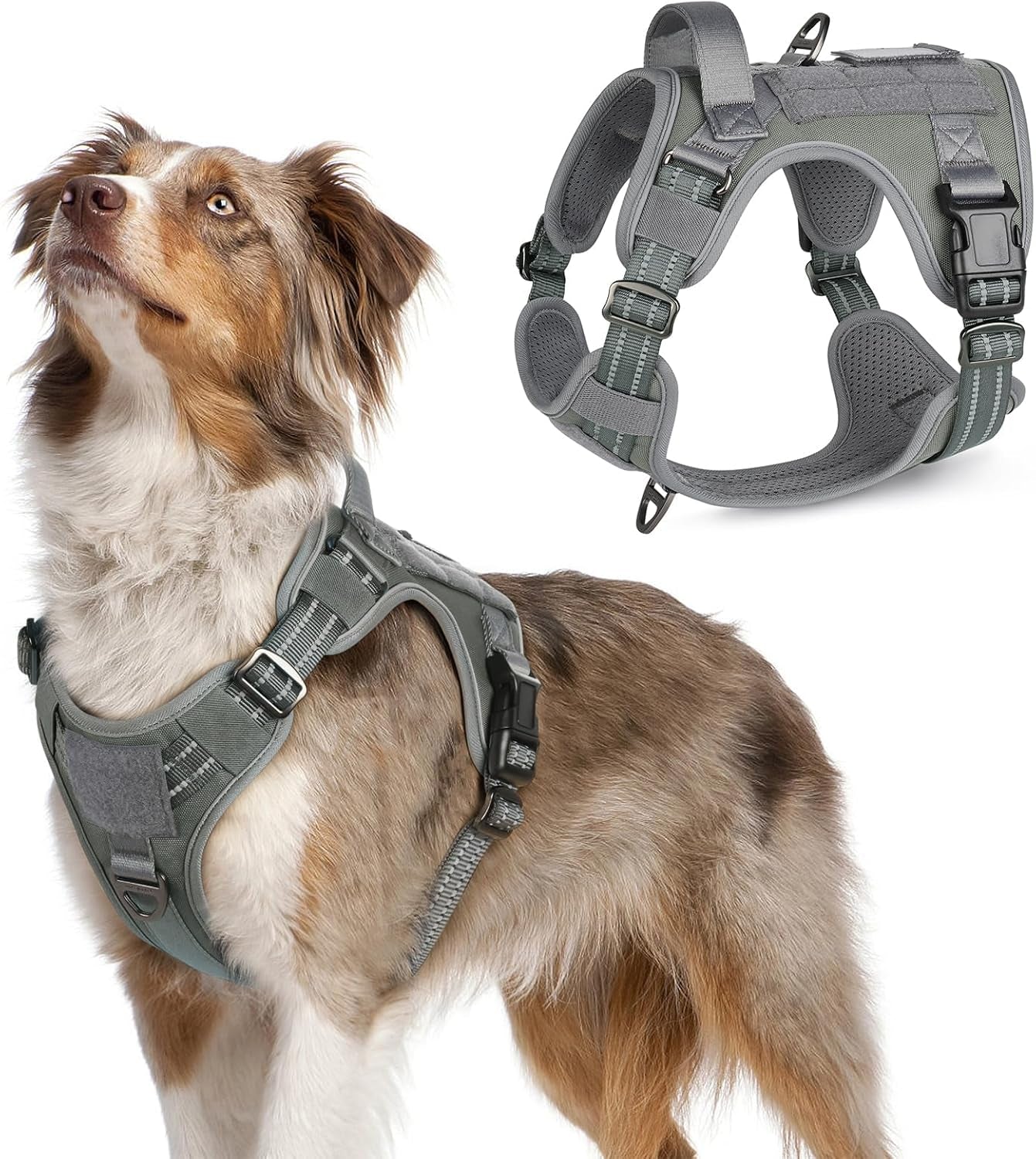 No Pull Tactical Dog Harness Molle Vest Adjustable Medium Large Dogs Grey Medium