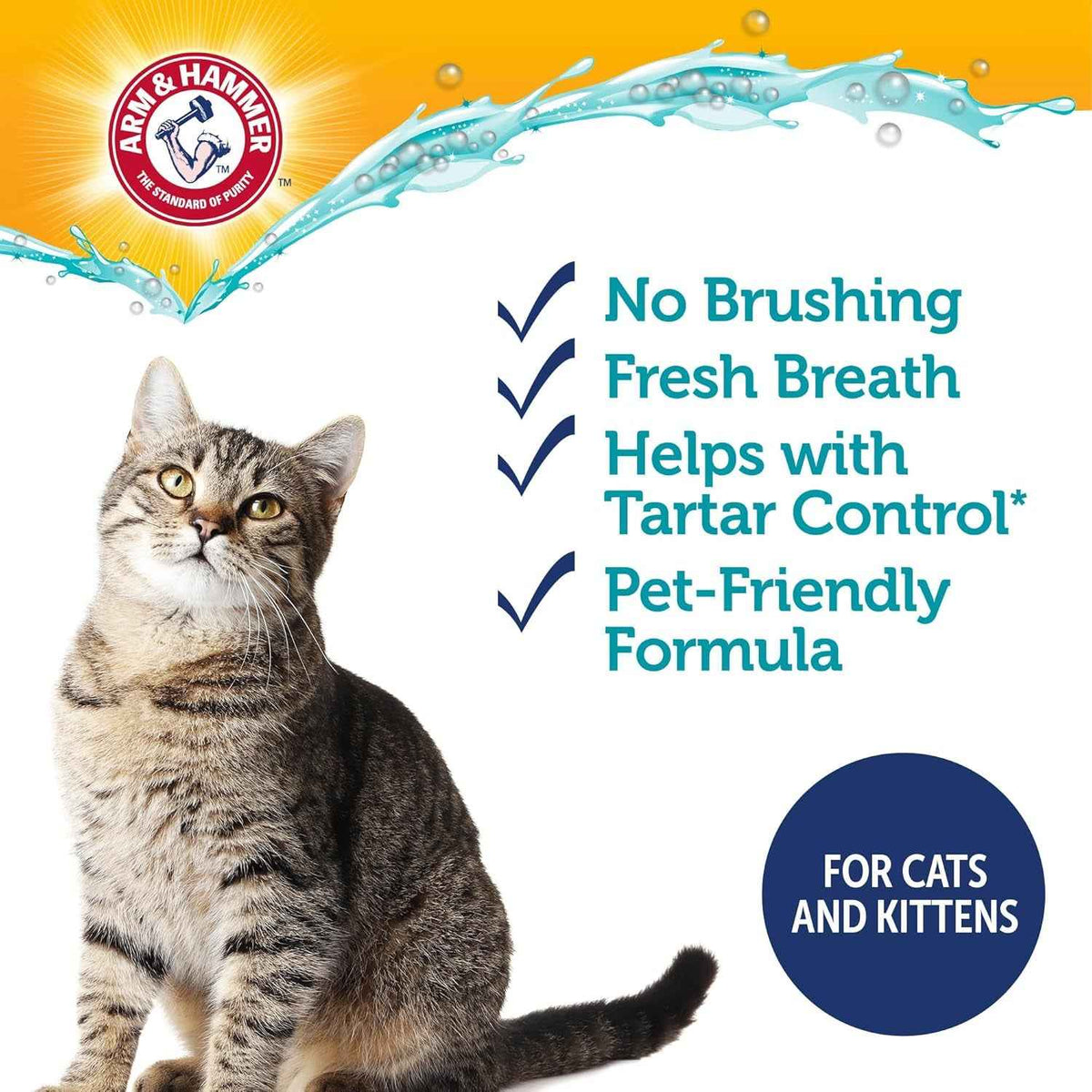 Dog Dental Kit Toothpaste Toothbrush Baking Soda Enzymatic 2.5oz