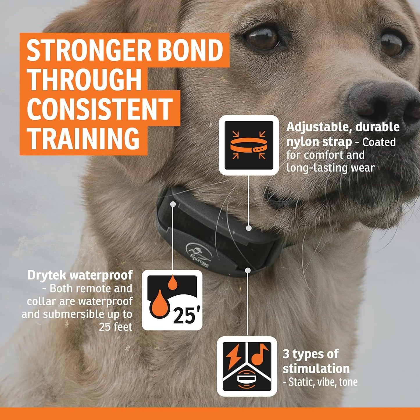 Remote Dog Training Collar Waterproof 500 Yard E Collar for Dogs