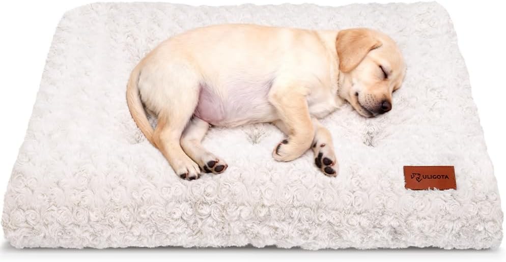 Dog Crate Bed Pad Soft Plush Washable Kennel Mat Anti Slip 24x18 For Small Dogs Rosette Pattern White Small 24"X18"