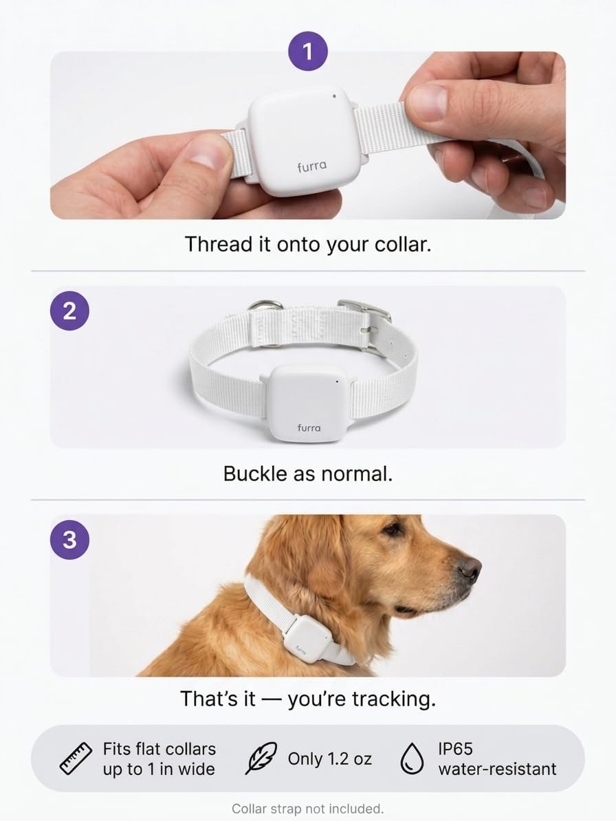 Premium Smart GPS Pet Tracker – Escape Alerts, Black or White