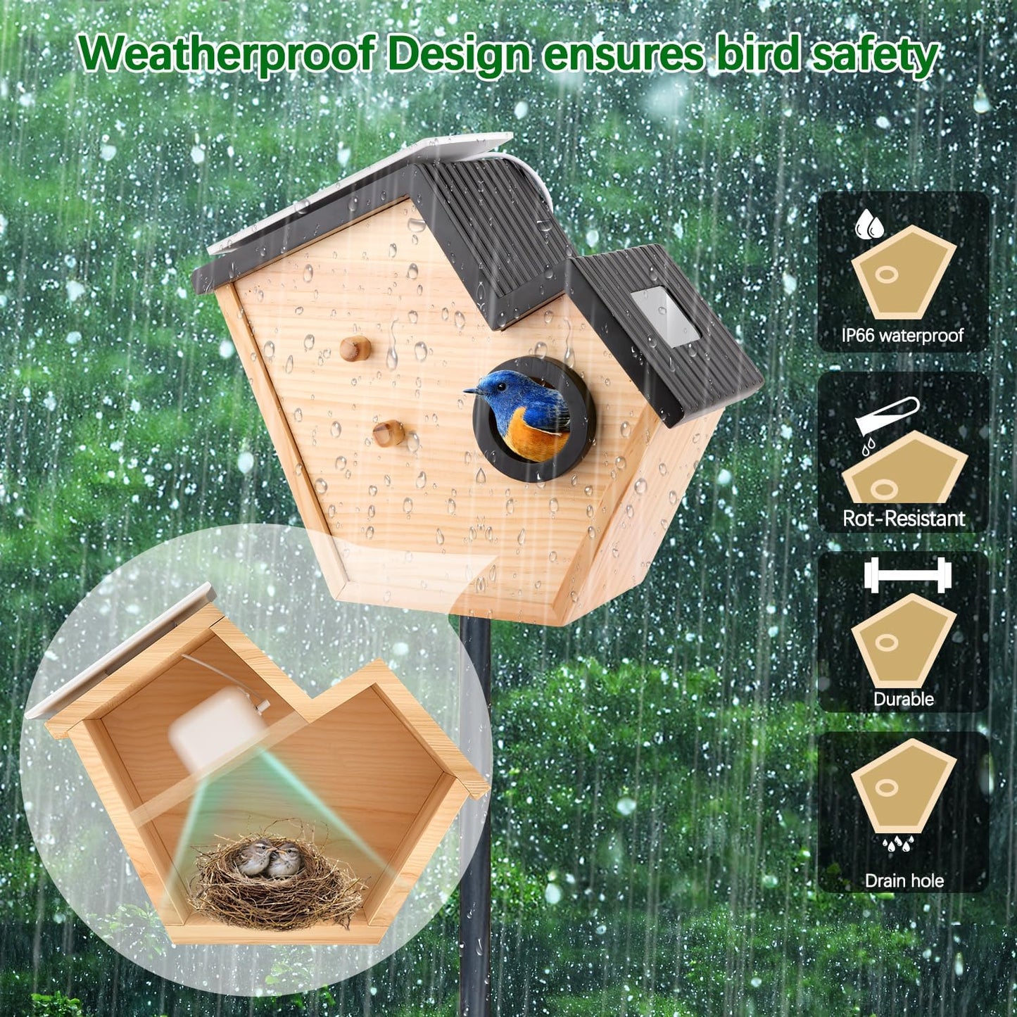 Bird House Camera Solar WiFi Smart Birdhouse HD Motion Detection 32GB